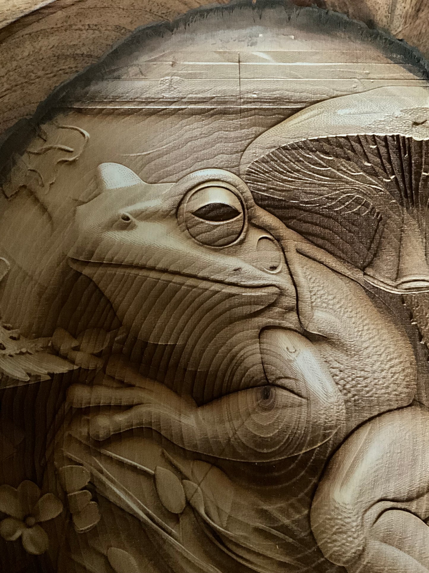 Frog in Mushrooms