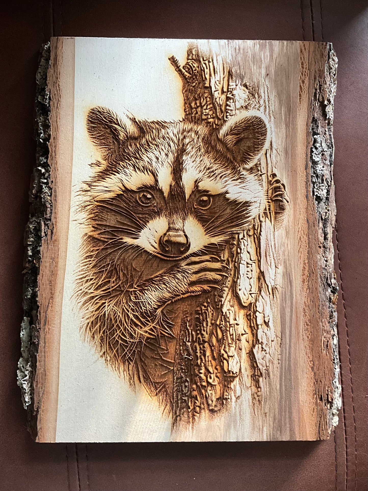 Raccoon