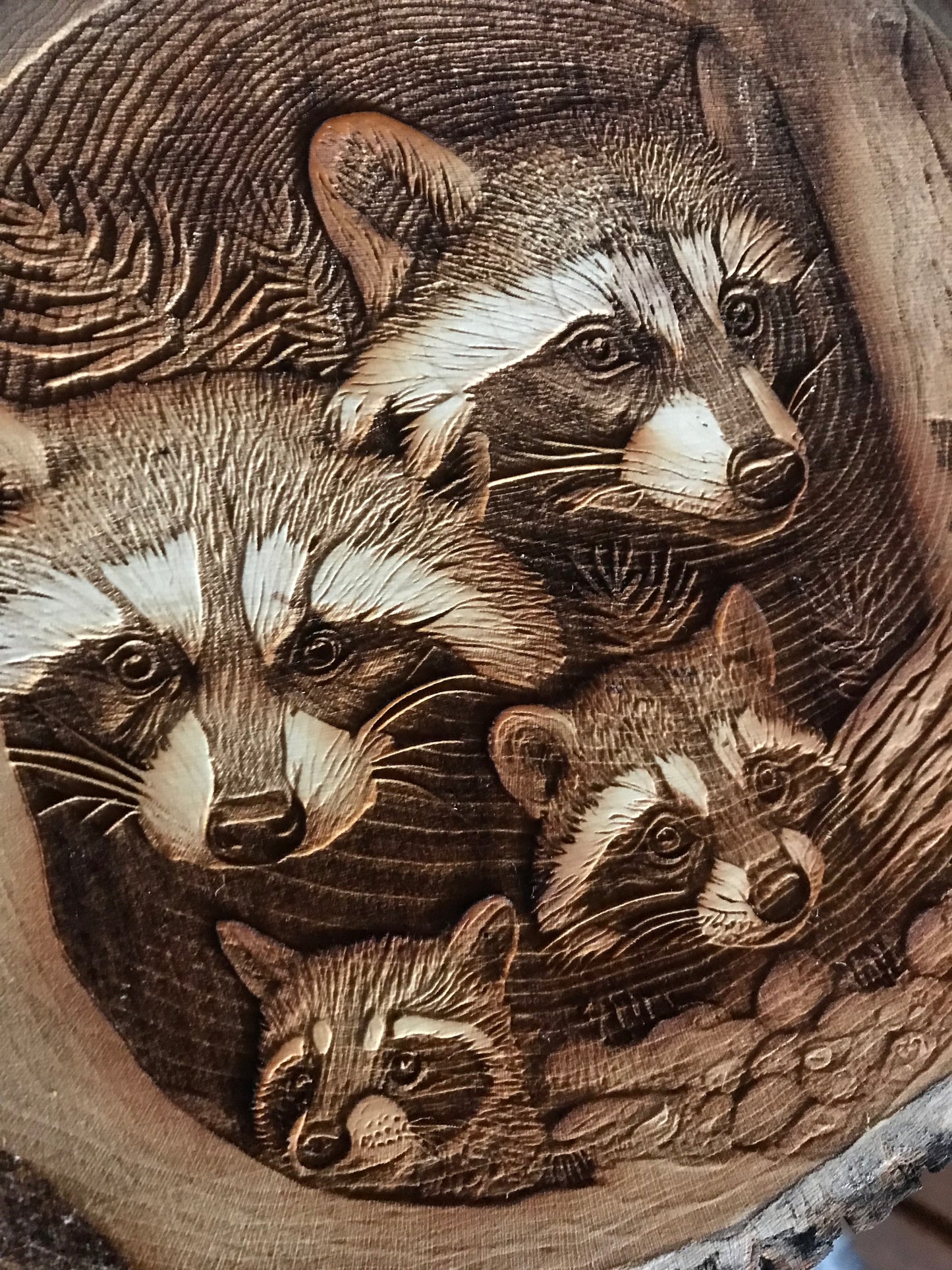 Raccoons Wall Art