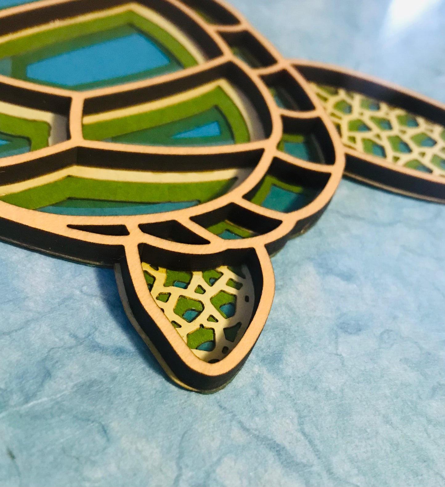 Sea Turtle Swimmimg