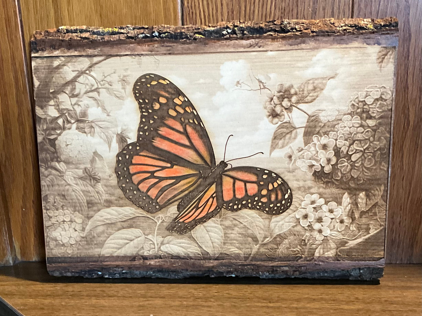 Monarch Butterfly