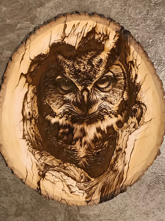 Owl in Cavity