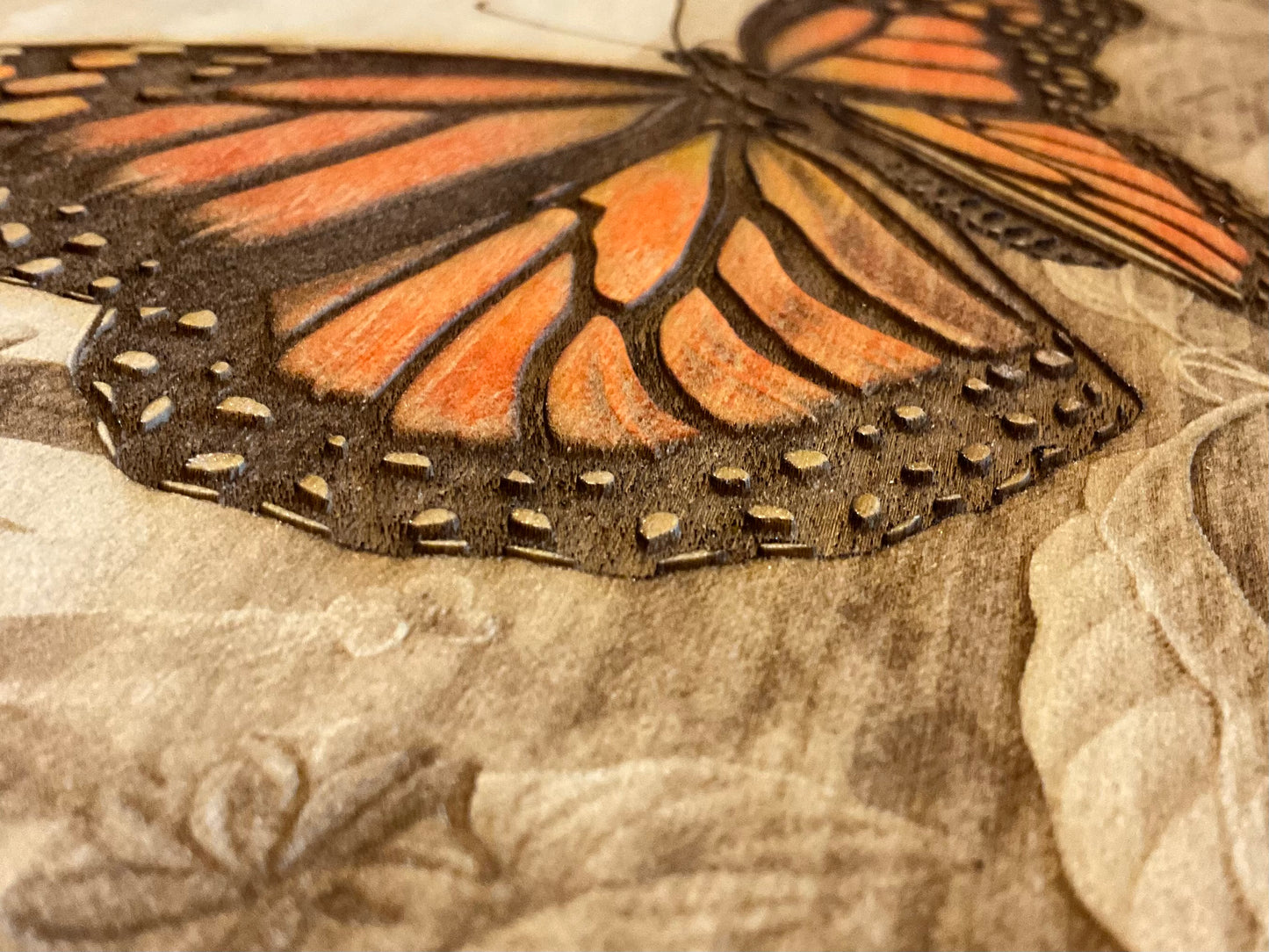 Monarch Butterfly