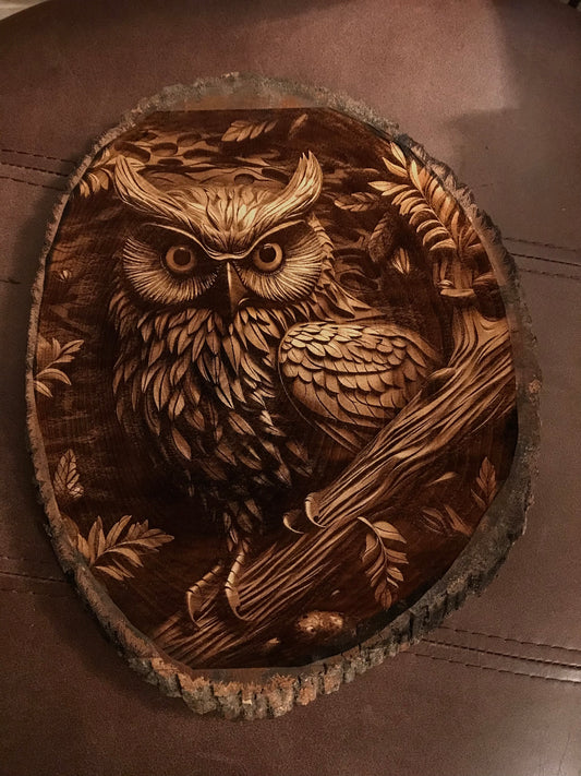 Owl