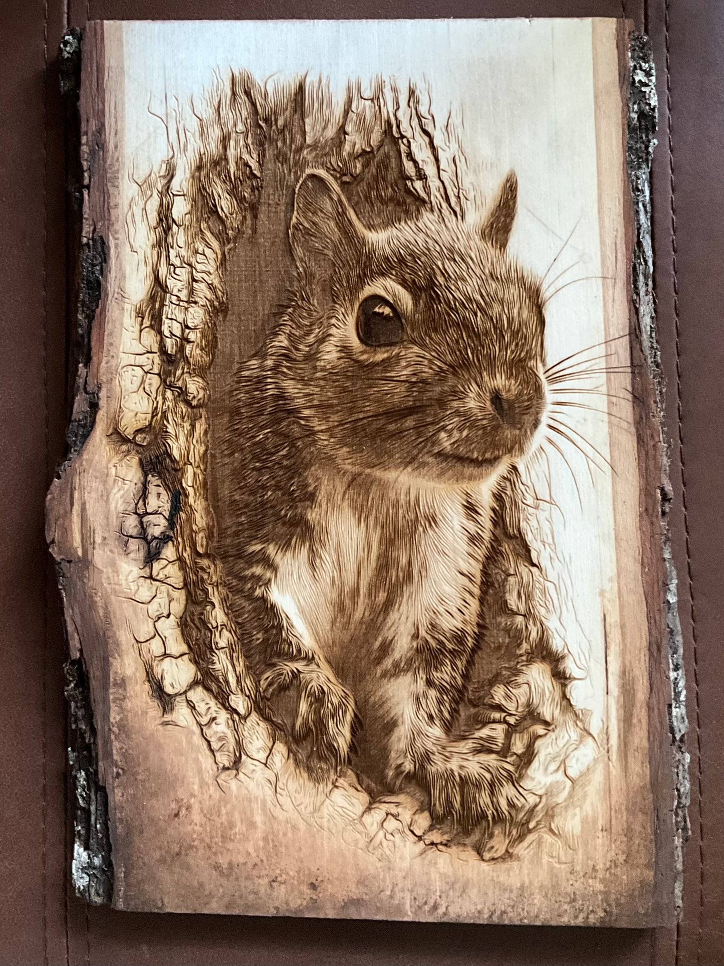 Squirrel