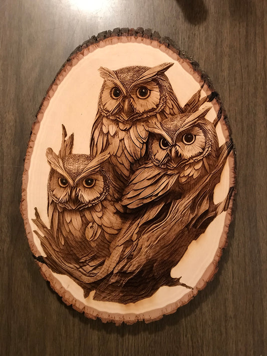 Owl Group