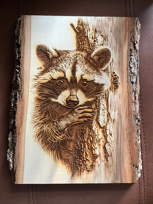 Raccoon