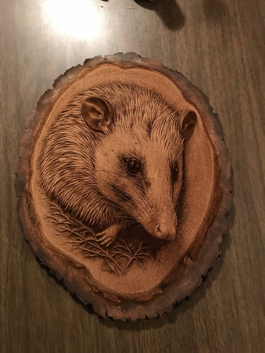 Small Opossum