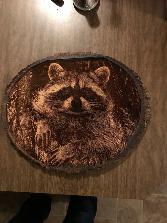 Raccoon