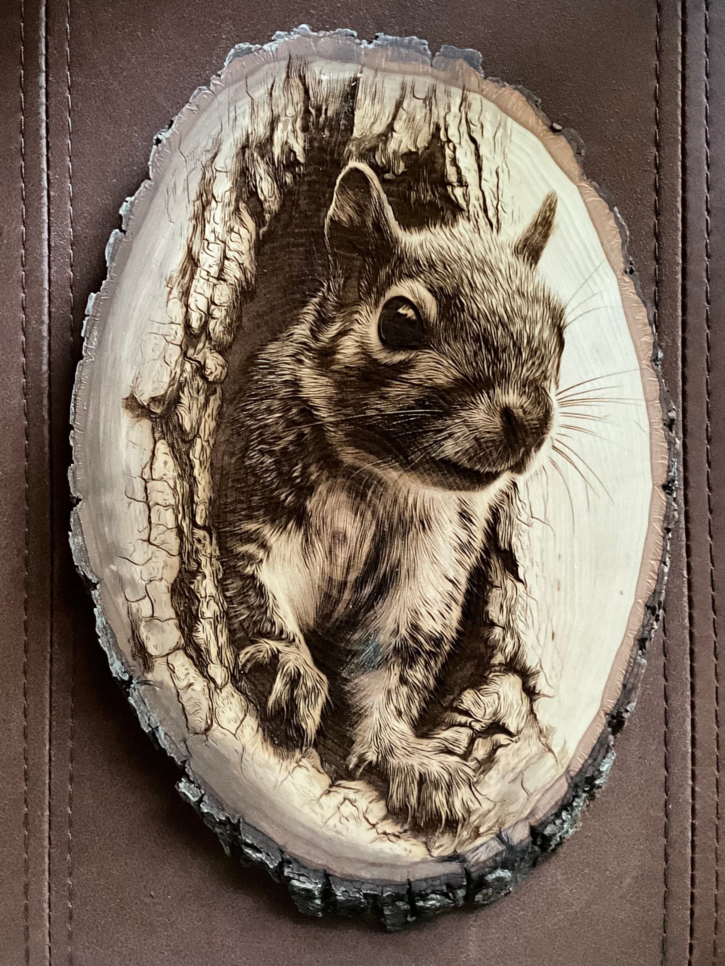 Squirrel