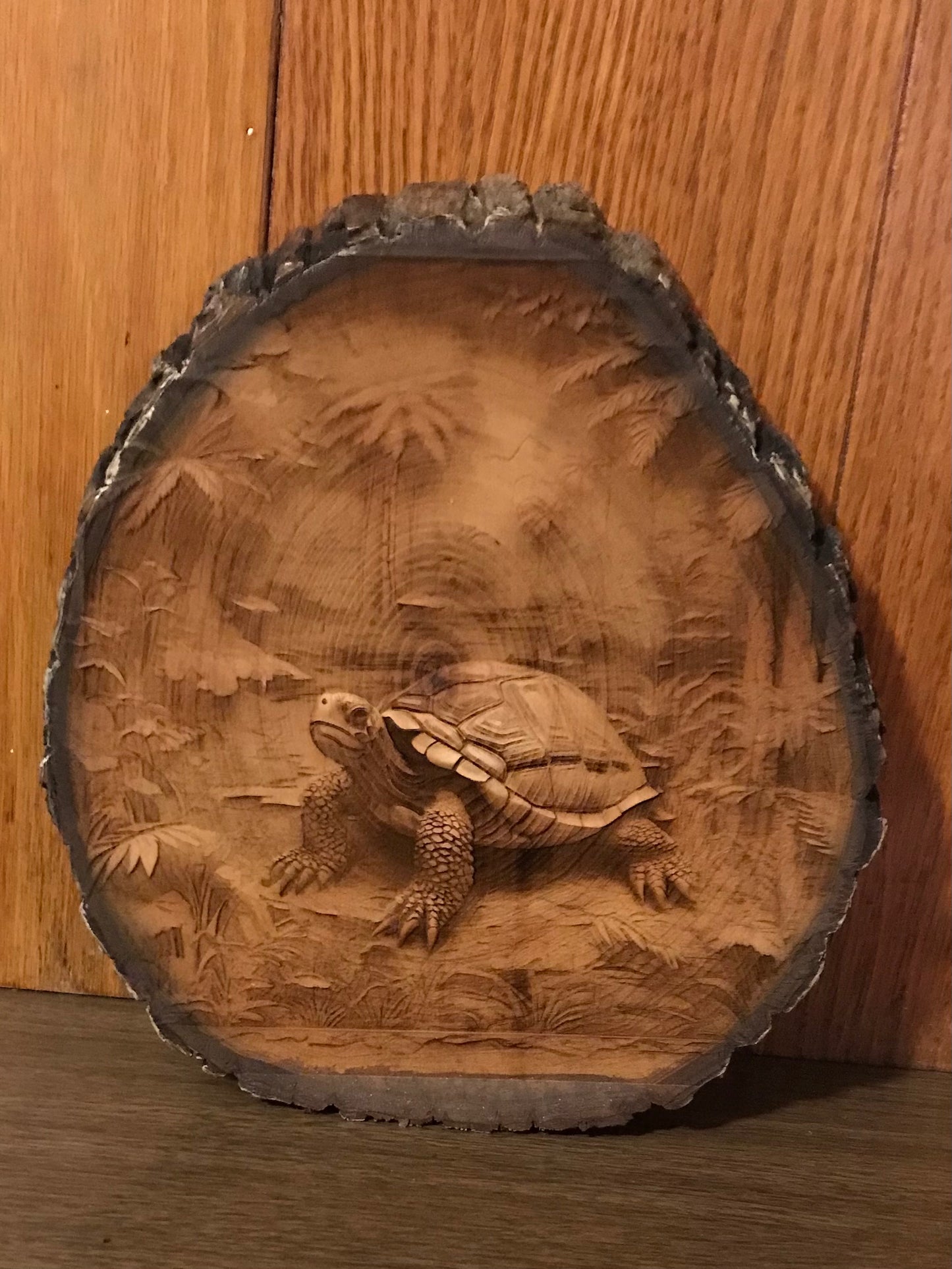 Tropical Tortoise