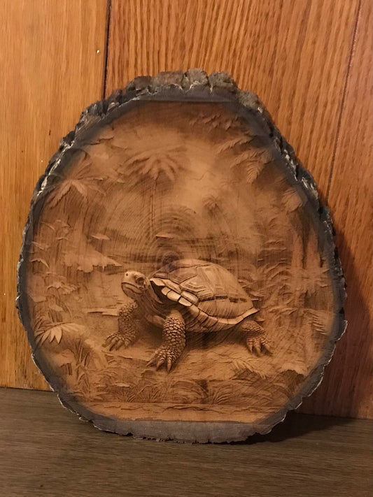 Tropical Tortoise