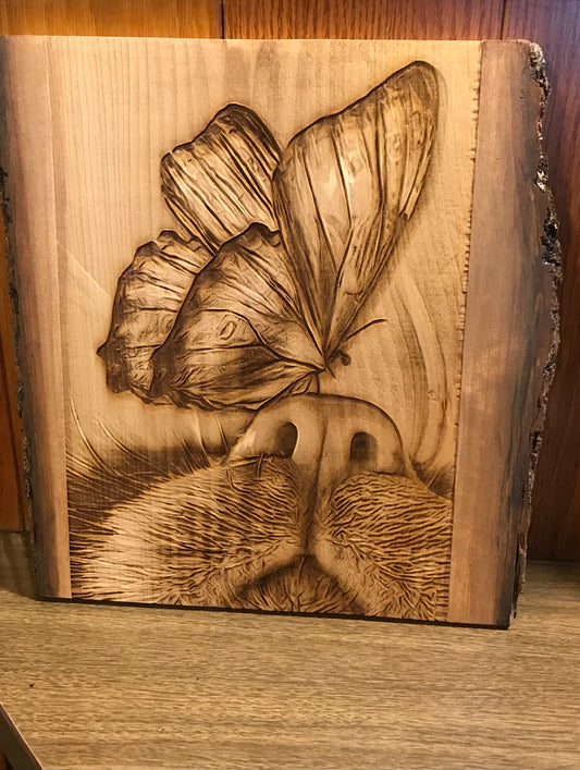 Butterfly Nose