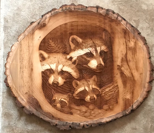 Raccoons Wall Art